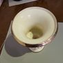 Vase abalone Image 4