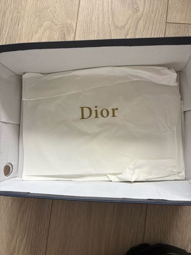 dior b22