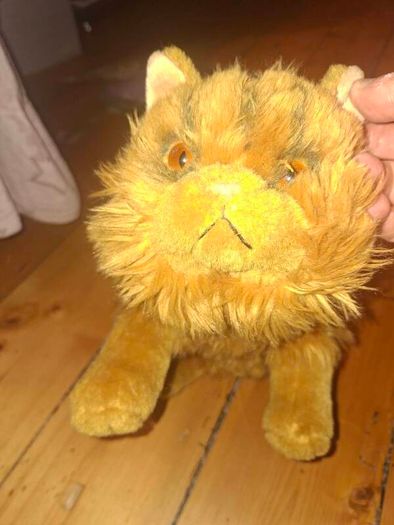 collector Teddies