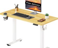 110 x 54 Electric Standing Desk ONE PIECE Height Adjustable Standing Desk