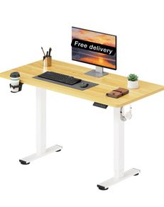 110 x 54 Electric Standing Desk ONE PIECE Height Adjustable Standing Desk