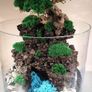 Forest in the jar 4 - H35cm x W25cm Image 4