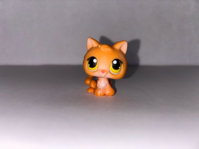littlest pet shop (LPS) Kitten bundle!