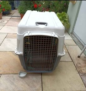 Large dog travel crate