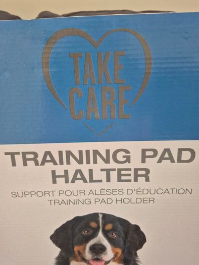Training pad holder