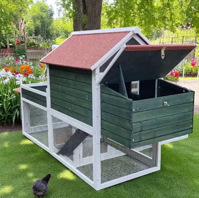 Large Chicken Coop  6-8 Birds
