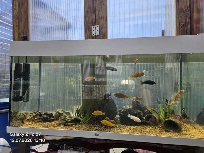 Aquarium juwel 180