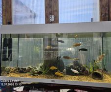 Aquarium juwel 180