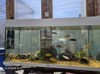 Aquarium juwel 180
