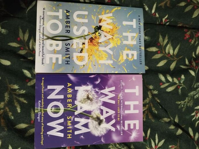 Amber Smith books