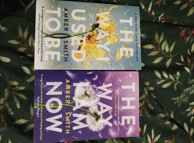 Amber Smith books