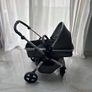 buggy Image 3