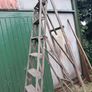 Old pine ladder Image 2