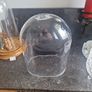 cloche display Image 4