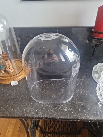 cloche display