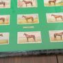 Players Cards,famous Irish bred horses Image 2