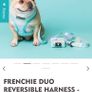 Frenchiebulldog harness Image 2