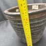 pot Image 5