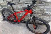 focus Mountain bike