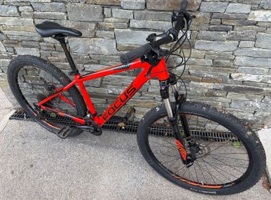 focus Mountain bike