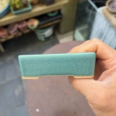 bonsai pot