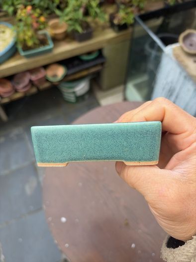 bonsai pot
