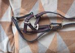 Equi-sential halter