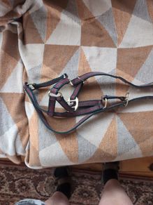 Equi-sential halter