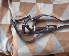 Equi-sential halter