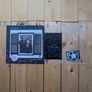 The Normal Album - Will Wood LP Image 4