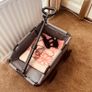 Pet trolly Image 3