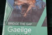 Bridge the Gap Gaeilge