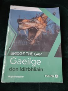 Bridge the Gap Gaeilge