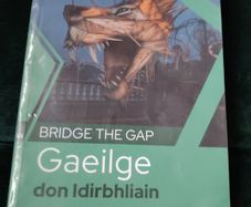 Bridge the Gap Gaeilge