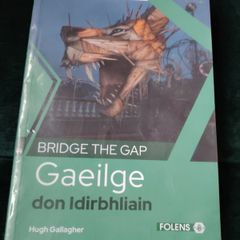 Bridge the Gap Gaeilge