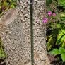 Mizuno Pro 243 7 iron Club 2 upright Image 3