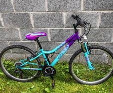 bike apollo 24inch