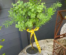 ShabbyChic Greenery with a Set of 2 Decorative Balls