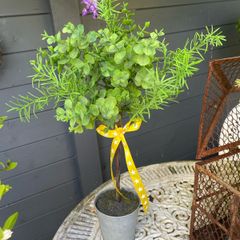 ShabbyChic Greenery with a Set of 2 Decorative Balls