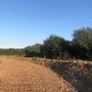 Woodchip Image 3