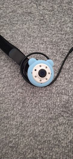 Car monitor camera