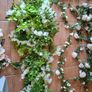 Artificial Flowers Bundle Image 5