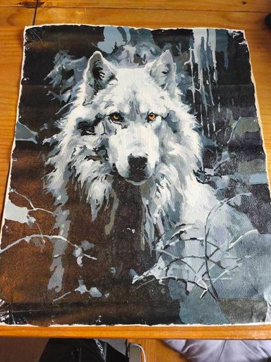 Canvas Paintings