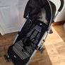 Buggy Image 6