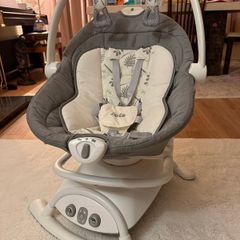 Joie Emeri 2-in-1 Baby Swing and Rocker Fern