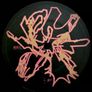 Travis Scott Utopia 2 x Vinyl, LP, Album Image 8