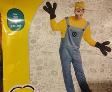 Minions costume