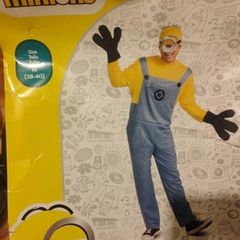 Minions costume