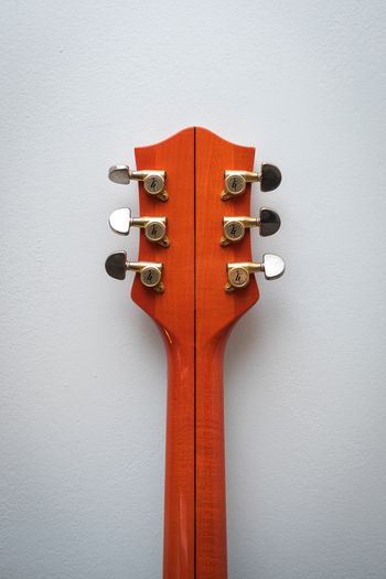 Gretsch 6120W Nashville Western