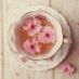 Dorina Harea